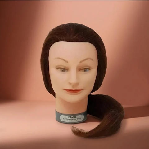 Tête d'étude