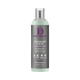 DESIGN ESSENTIALS PEPPERMINT & ALOE CONDITIONER
