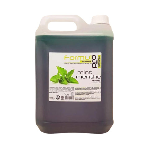 FORMUL PRO SHAMPOING CONCENTRE MENTHE 5L