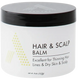 ASHTAE HAIR AND SCALP BALM 4 OZ